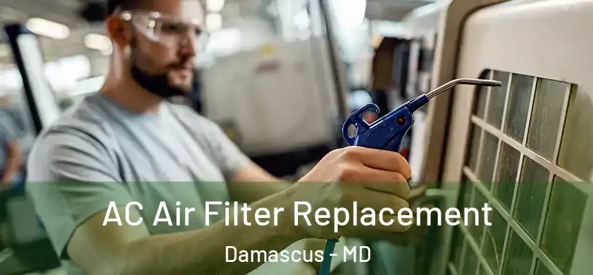  AC Air Filter Replacement Damascus - MD