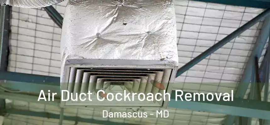  Air Duct Cockroach Removal Damascus - MD