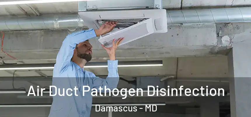  Air Duct Pathogen Disinfection Damascus - MD
