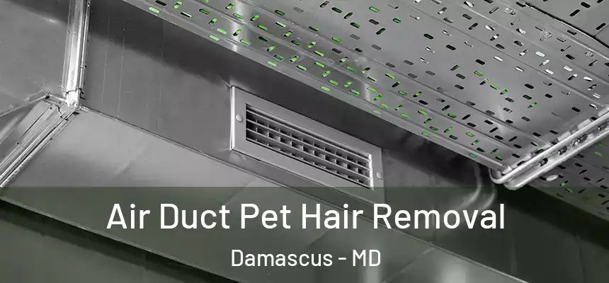  Air Duct Pet Hair Removal Damascus - MD