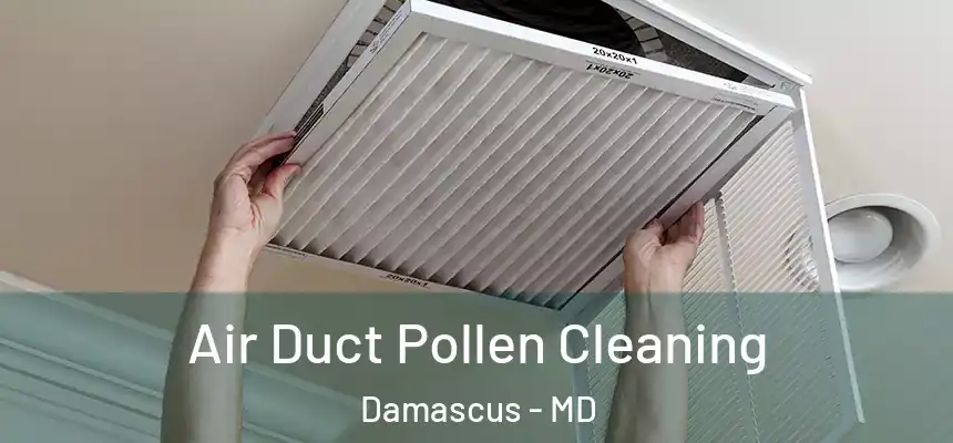  Air Duct Pollen Cleaning Damascus - MD