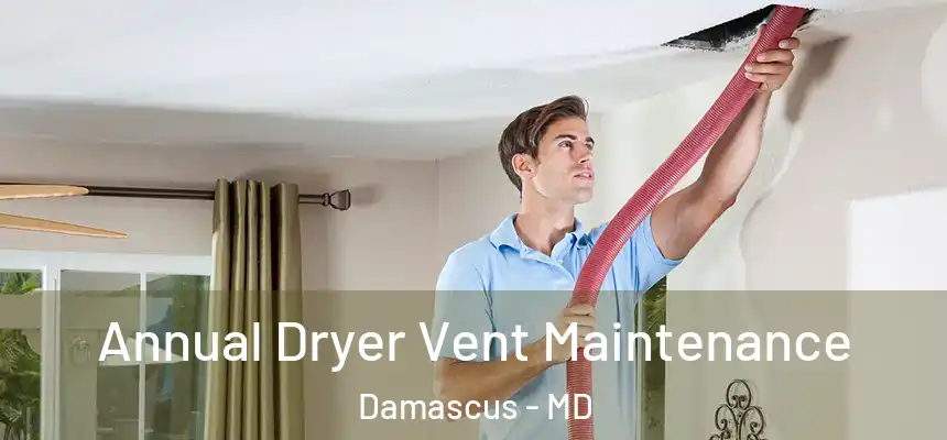  Annual Dryer Vent Maintenance Damascus - MD