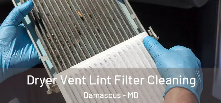  Dryer Vent Lint Filter Cleaning Damascus - MD