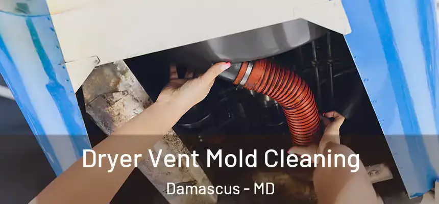  Dryer Vent Mold Cleaning Damascus - MD
