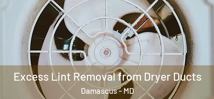  Excess Lint Removal from Dryer Ducts Damascus - MD