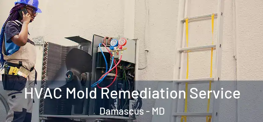  HVAC Mold Remediation Service Damascus - MD