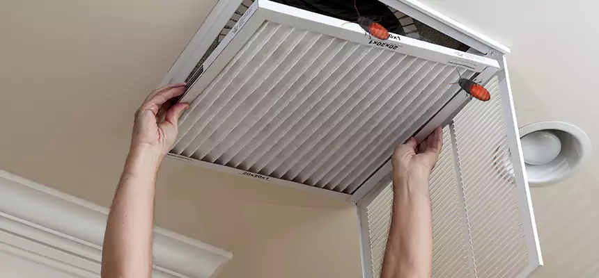 Preventive Cockroach-Proofing for Ducts in Damascus