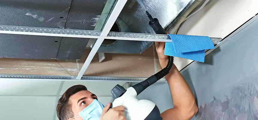 Our Air Duct Rodent Removal Services in Damascus, MD