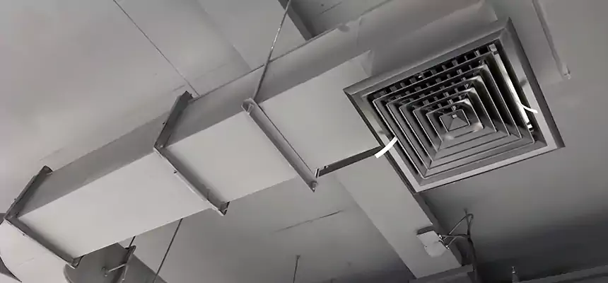 Restorative Allergy Relief Vent Cleaning – Coil, Blower & Housing Detail in Damascus