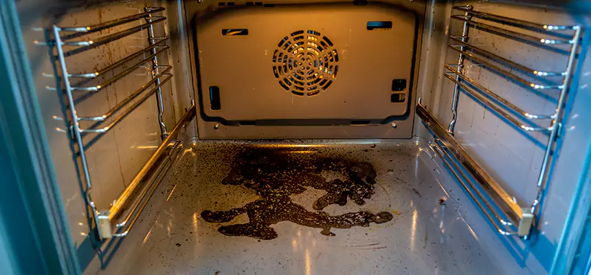 Our Dryer Vent Mold Cleaning Services in Damascus, MD