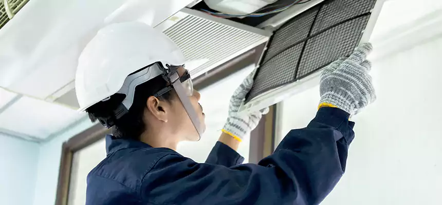 Our Mold & Mildew Removal from Air Ducts Services in Damascus, MD