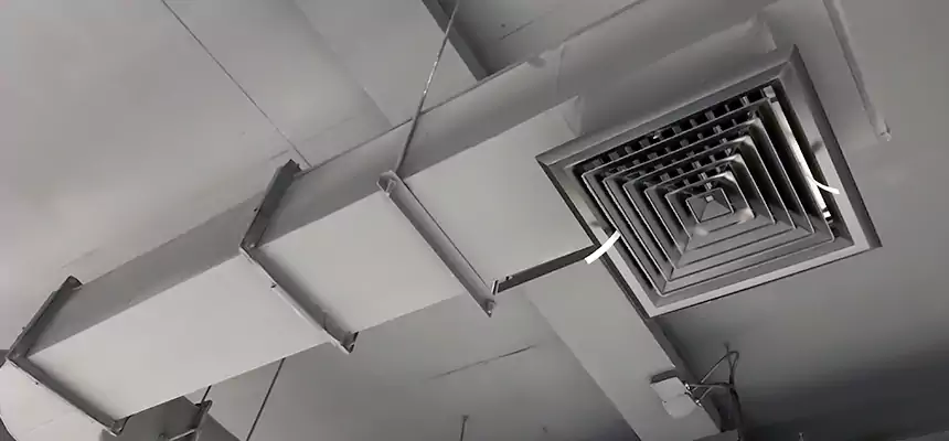 Our Pest Removal From Ducts Services in Damascus, MD