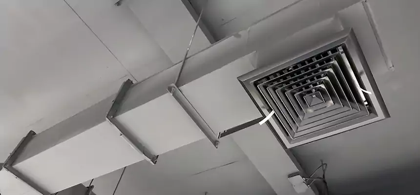 Our Rodent Droppings In Vents Services in Damascus, MD