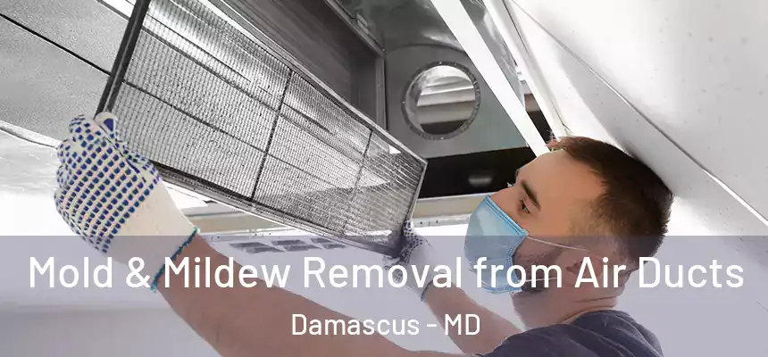  Mold & Mildew Removal from Air Ducts Damascus - MD
