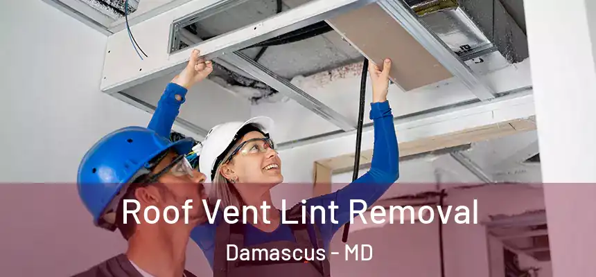  Roof Vent Lint Removal Damascus - MD