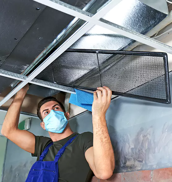 About Air Duct Bacteria Removal in Damascus