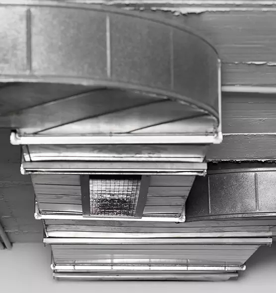 Professional Air Duct Pet Hair Removal in Damascus, MD