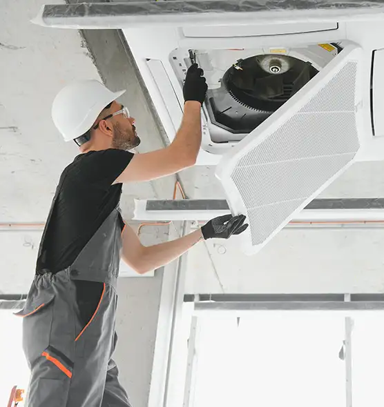 About Air Duct Rodent Removal in Damascus, MD