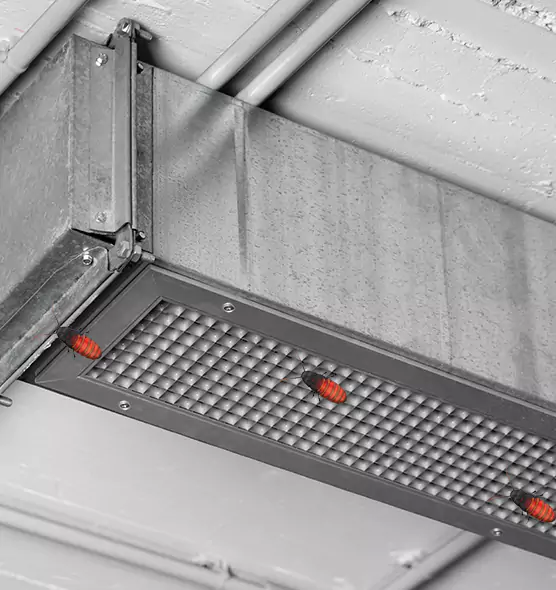 Affordable Insect Removal from Air Ducts in Damascus, MD
