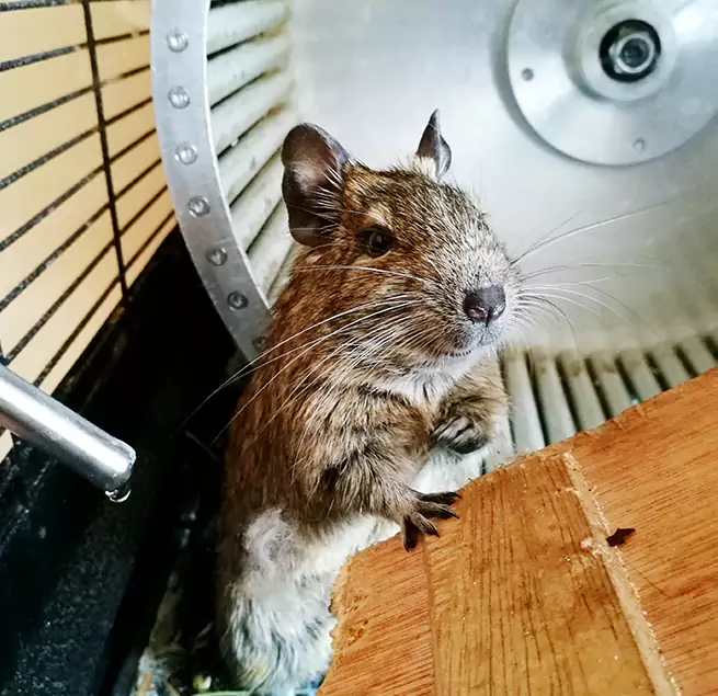 Why Homeowners & Businesses Trust Us Damascus, MD