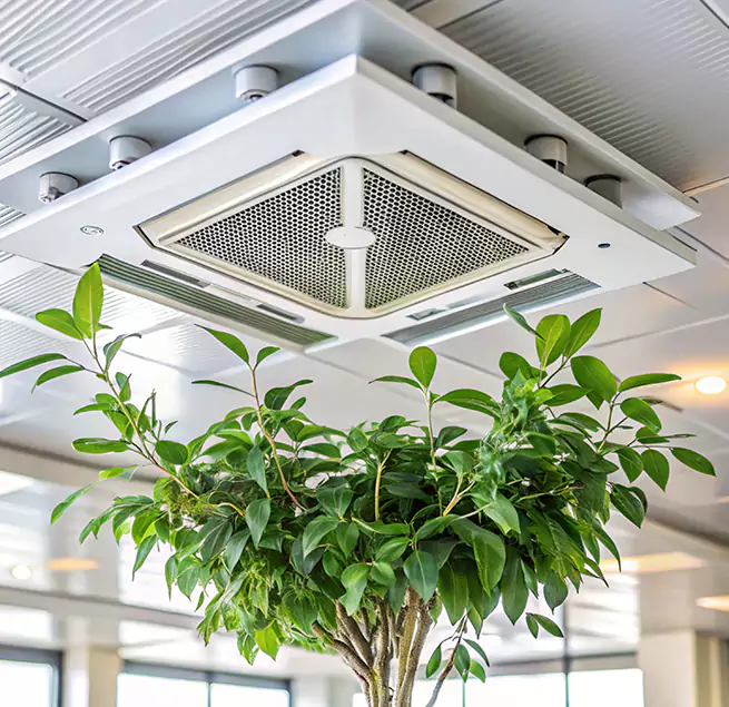 Why Homeowners & Businesses Trust Us in Damascus, MD?