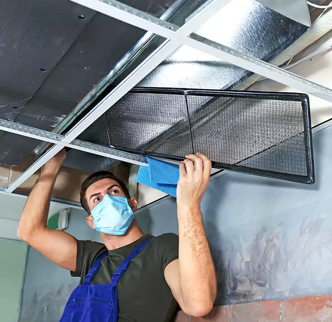 Why Homeowners Businesses Trust Us in Damascus, MD